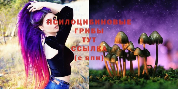 МДПВ Аркадак