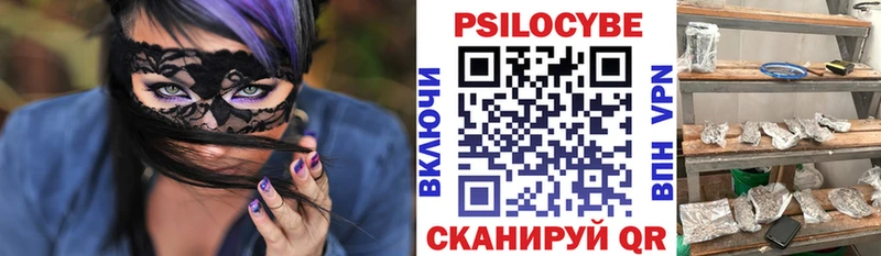 Псилоцибиновые грибы Psilocybe  закладка  Козельск 